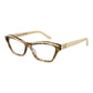 Beige Acetate Glasses (Frames)