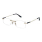 Gold Titanium Glasses (Frames)
