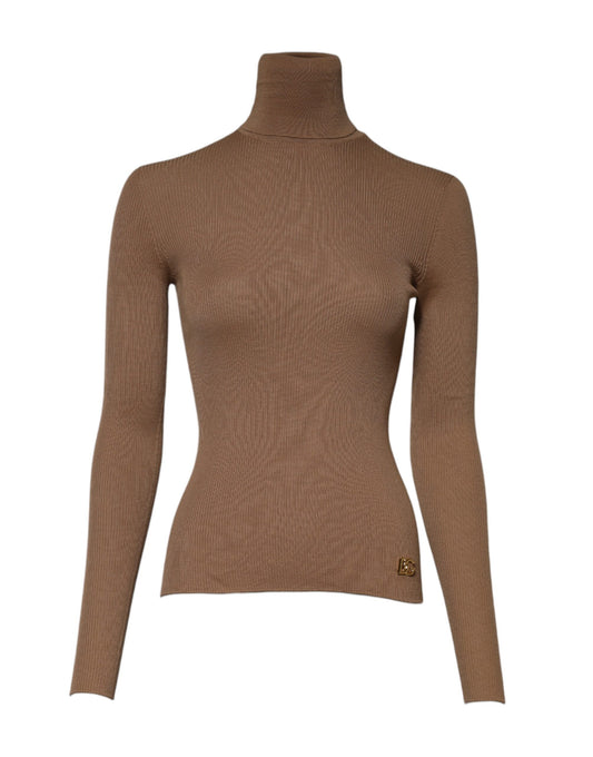 Brown Knit Long Sleeves Turtleneck Sweater