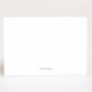 Multicolor Leopard Print Envelope Paper Post Card Holder