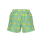 Verde Polyester Men's Swim Trunk