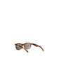 Brown Acetate Sunglasses
