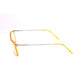 Brown Plastic Glasses (Frames)