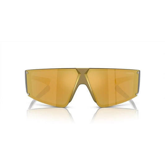Gold Resin Sunglasses