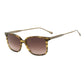 Brown Titanium Sunglasses