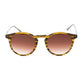 Brown Titanium Sunglasses