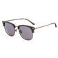 Brown Titanium Sunglasses