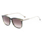 Brown Titanium Sunglasses