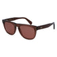 Brown Acetate Sunglasses