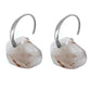 Silver Silver Earrings