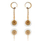 Rose Gold Stainless Steel Earrings