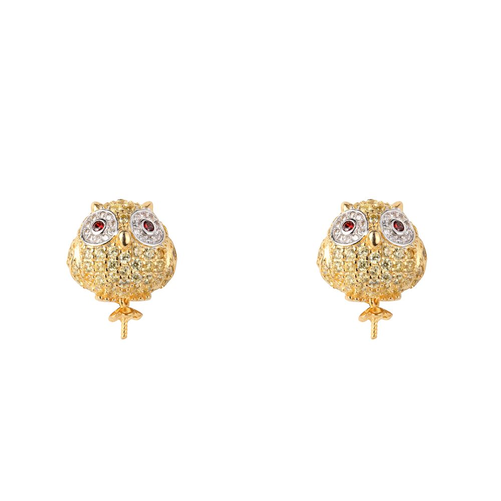 Gold Silver Earrings