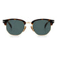 Brown Acetate Sunglasses