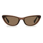 Brown Plastic Sunglasses