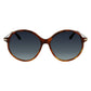 Brown Acetate Sunglasses