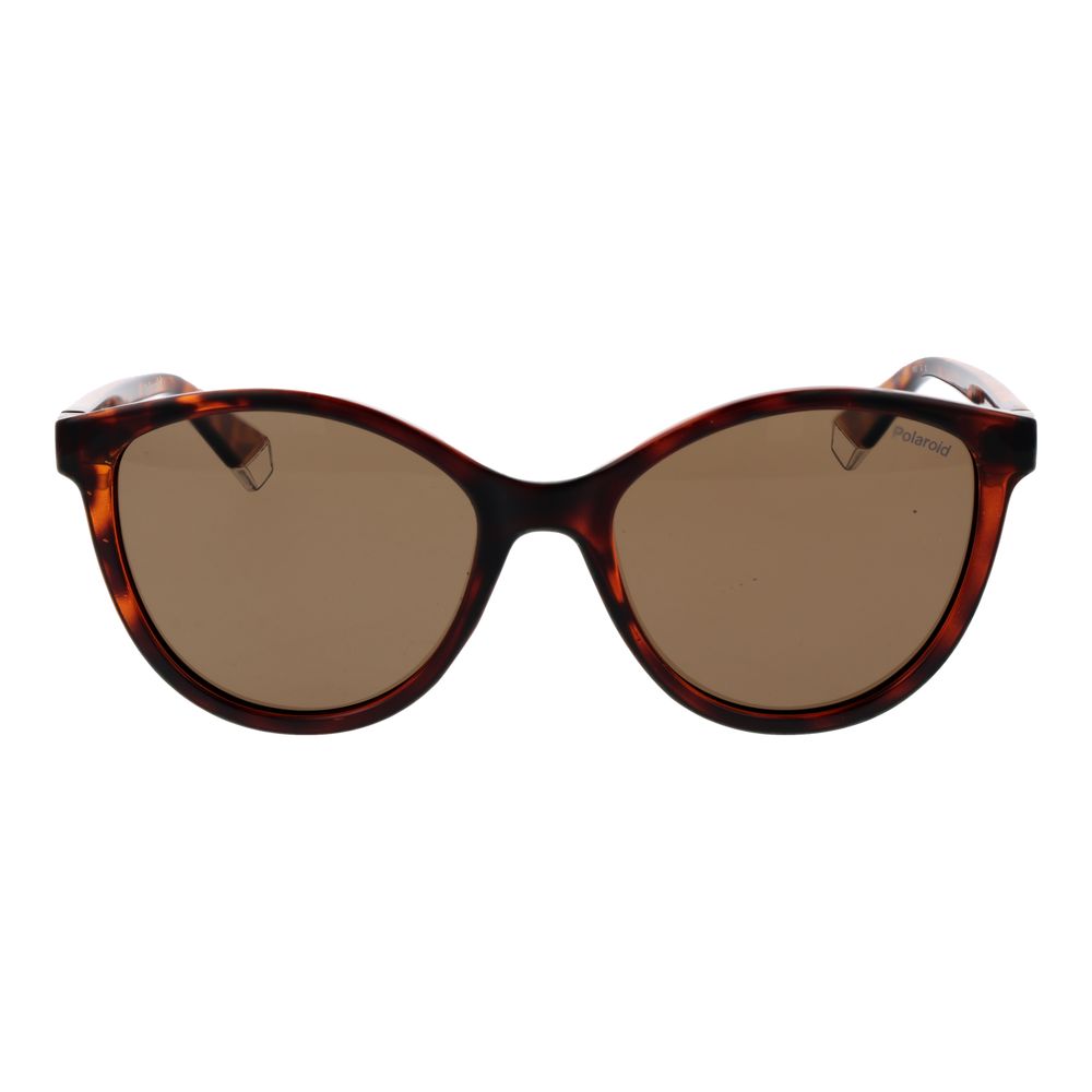 Brown Plastic Sunglasses