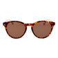 Brown Acetate Sunglasses