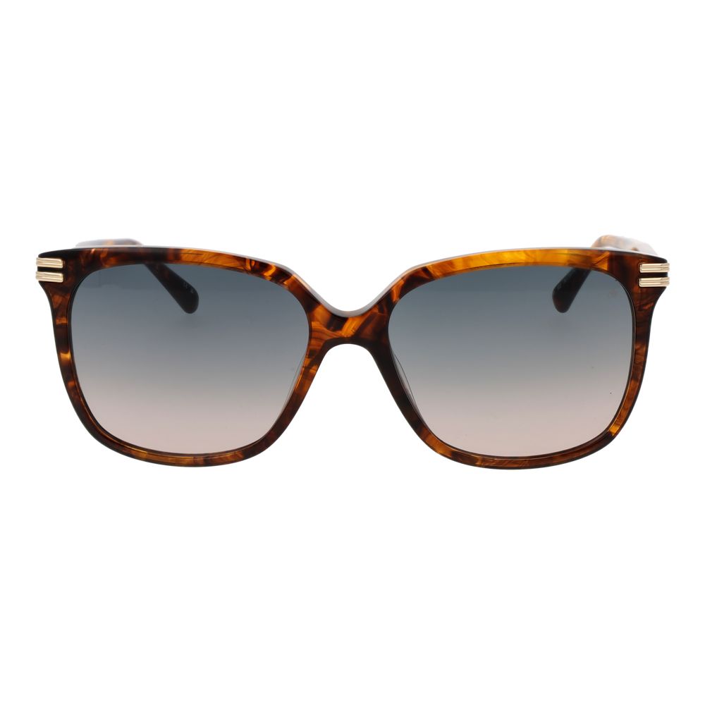 Brown Acetate Sunglasses