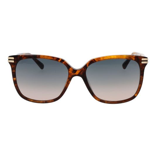 Brown Acetate Sunglasses
