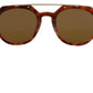Chic Brown Wayfarer Sunglasses