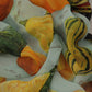 Multicolor Silk Vegetable Print Shawl