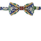 Elegant Majolica Print Silk Bow Tie