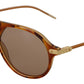 Chic Brown Acetate Sunglasses for Women