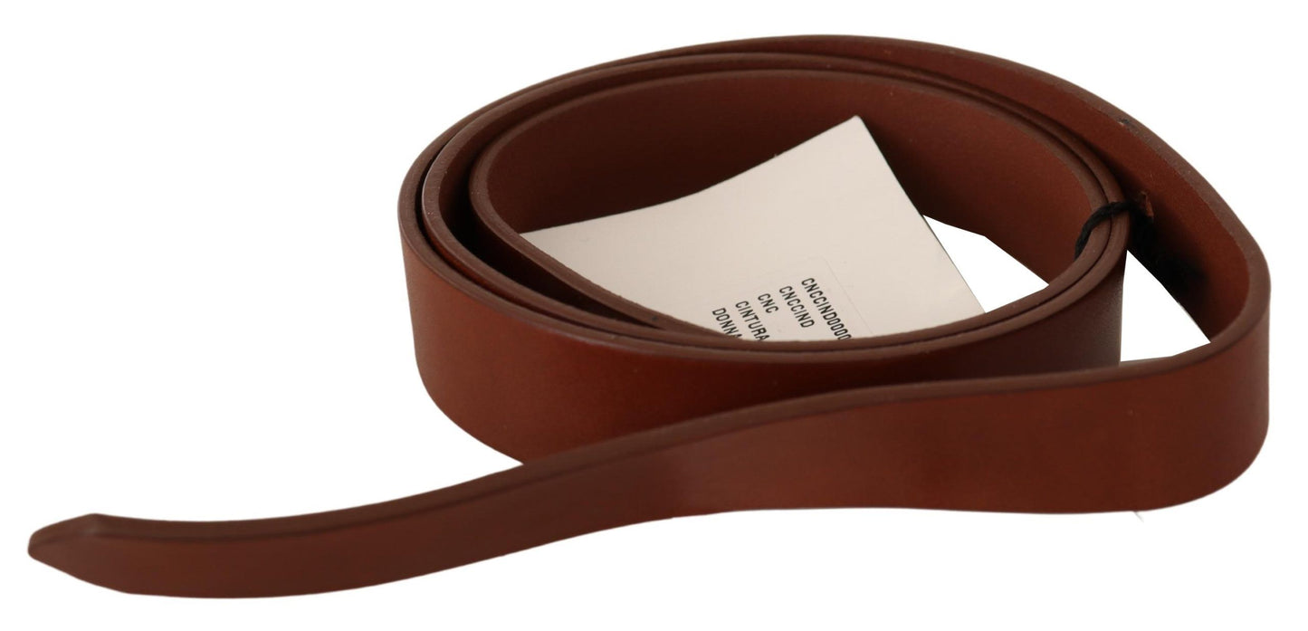 Brown Leather Silver Fastening Belt