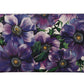 Elegant Purple Leather Shoulder Bag