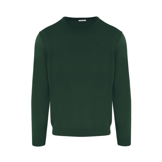 Luxurious Cashmere Round Neck Sweater in Lizard Green